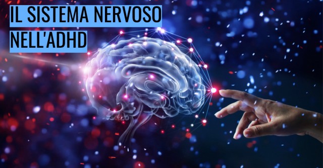 Il sistema nervoso nell’ADHD